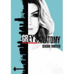 GREY'S ANATOMY S12.   SERIES