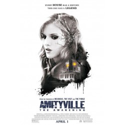 AMITYVILLE: THE AWAKENING. DVD