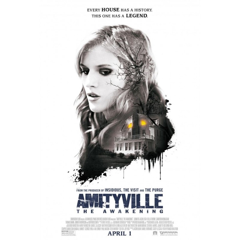 AMITYVILLE: THE AWAKENING. DVD