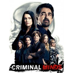 ESPRITS CRIMINELS S10.   SERIES