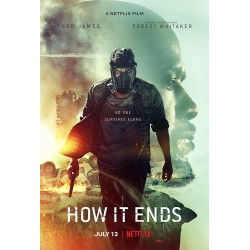 HOW IT ENDS. DVD