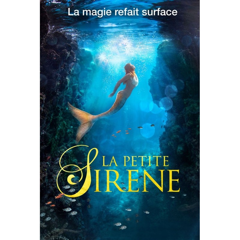 LA PETITE SIRÈNE 2018. DVD