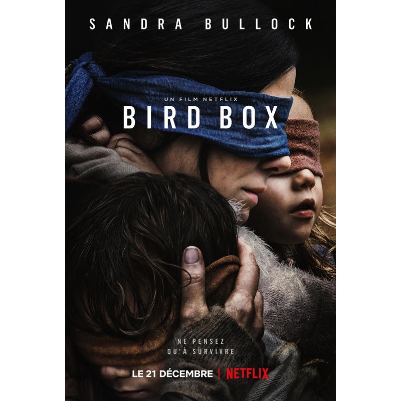 BIRD BOX. DVD