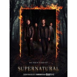 SUPERNATURAL S13.   SERIES