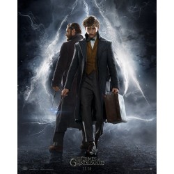 LES ANIMAUX FANTASTIQUES 2 LES CRIMES DE GRINDELWALD. NEWS