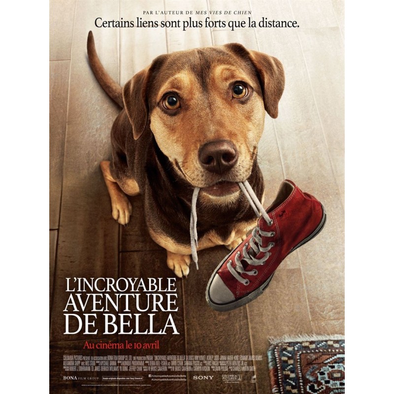 L'INCROYABLE AVENTURE DE BELLA. DVD