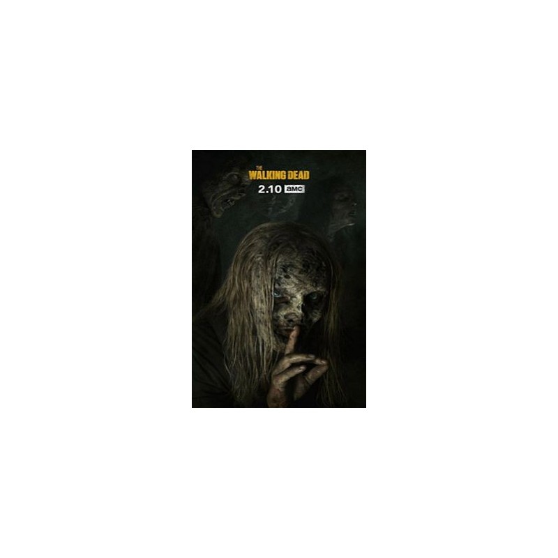 THE WALKING DEAD S9. SERIES