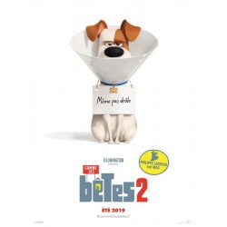 COMME DES BÊTES 2. NEWS