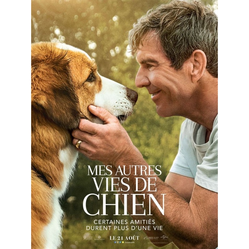 MES AUTRES VIES DE CHIEN. DVD