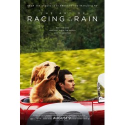 THE ART OF RACING IN THE RAIN. DVD