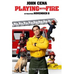 PLAYING WITH FIRE. DVD