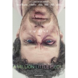 A MILLION LITTLE PIECES. DVD