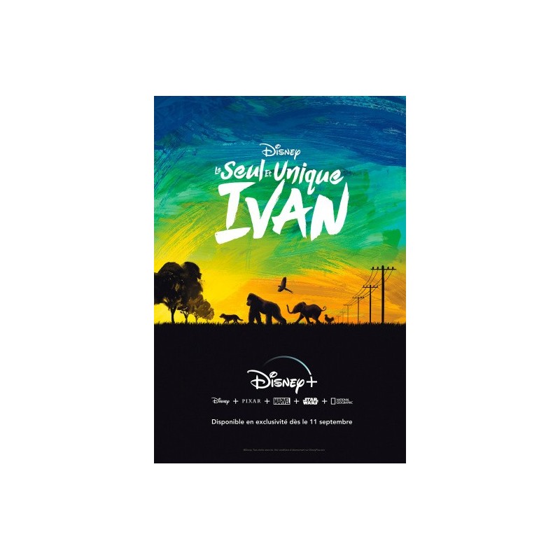 LE SEUL ET UNIQUE IVAN. DVD