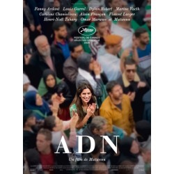 ADN.   DVD