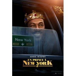 UN PRINCE À NEW YORK 2.   DVD