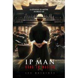 IP MAN KUNG FU MASTER - LES...
