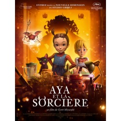 AYA ET LA SORCIÈRE.   DVD