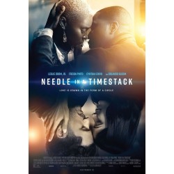 NEEDLE IN A TIMESTACK.   DVDV