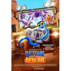 RETOUR AU BERCAIL.   DVD