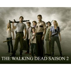 copy of THE WALKING DEAD...