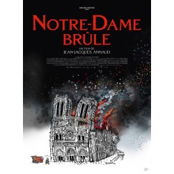 copy of NOTRE-DAME BRÛLE....
