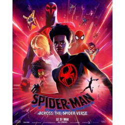 copy of SPIDER-MAN : ACROSS...