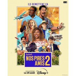 NOS PIRES AMIS 2.   DVD
