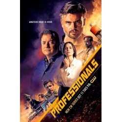 PROFESSIONALS S1.   SERIES