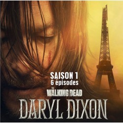 THE WALKING DEAD: DARYL...
